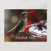 Hummingbird Hartelijk dank Briefkaart (Voorkant)