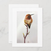 Hummingbird Hartelijk dank Nota/Nota kaart met env (Voorkant / Achterkant)