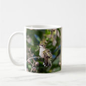 Hummingbird Haven Natuur Mok Cadeau (Links)