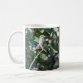 Hummingbird Haven Natuur Mok Cadeau (Links)