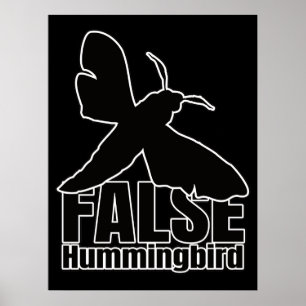 Hummingbird Hawk-Moth Butterfly - Entomology Geek Poster