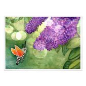 Hummingbird Hawk Moth en Lilacs Foto Afdruk (Voorkant)
