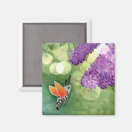 Hummingbird Hawk Moth en Lilacs Magneet (Voorkant / Achterkant)