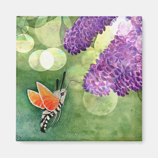 Hummingbird Hawk Moth en Lilacs Magneet (Voorkant)