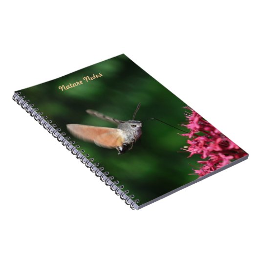 Hummingbird hawk-moth hovering notitieboek (Rechterzijde)
