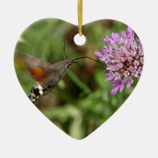 Hummingbird hawk-moth (Macroglossum stellatarum) Keramisch Ornament (Voorkant)