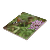 Hummingbird hawk-moth (Macroglossum stellatarum) Tegeltje (Zijkant)