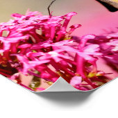 Hummingbird Hawk-moth-vlinder tijdens de vlucht Br Poster (Hoek)