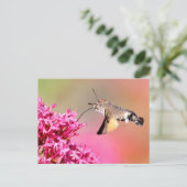 Hummingbird Hawk-moth-vlinder tijdens de vlucht Briefkaart (Staand voorkant)