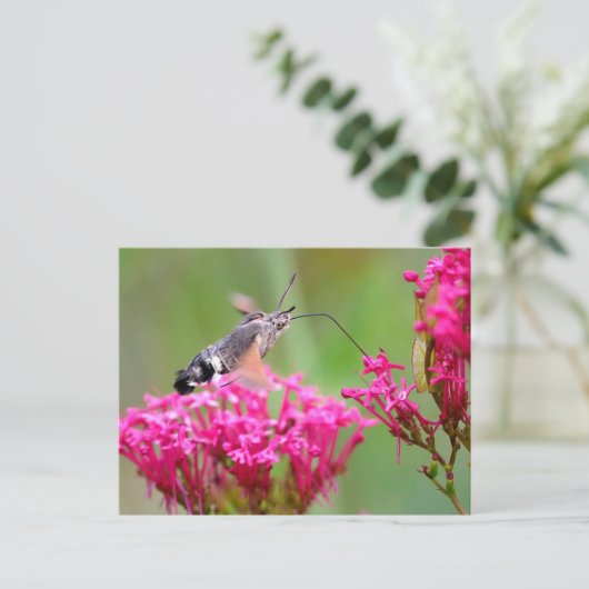 Hummingbird Hawk-moth-vlinder tijdens de vlucht Feestdagenkaart (Staand voorkant)