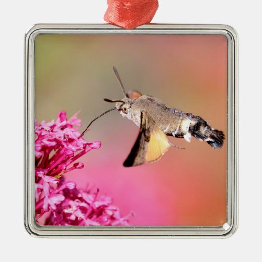 Hummingbird Hawk-moth-vlinder tijdens de vlucht Metalen Ornament (Voorkant)