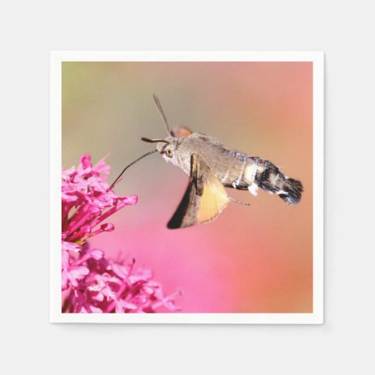 Hummingbird Hawk-moth-vlinder tijdens de vlucht Servet (Voorkant)