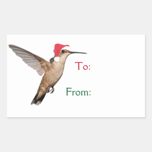 Hummingbird Helper Rechthoekige Sticker (Voorkant)