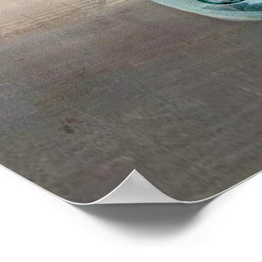 Hummingbird het is goed met m'n sol. poster (Hoek)