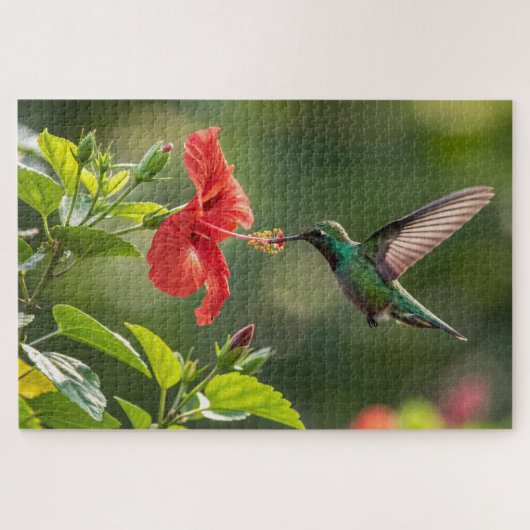 Hummingbird Hibiscus Puzzel - Levendige Tropische (Horizontaal)