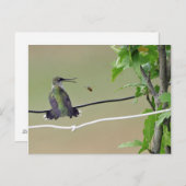 Hummingbird & Honey Bee Briefkaart (Voorkant / Achterkant)