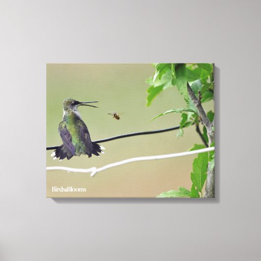 Hummingbird & Honey Bee Canvas Afdruk (Voorkant)