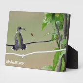 Hummingbird & Honey Bee Fotoplaat (Zijkant)