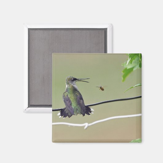 Hummingbird & Honey Bee Magneet (Voorkant / Achterkant)