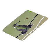 Hummingbird & Honey Bee Magneet (Linkerzijde)