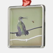 Hummingbird & Honey Bee Metalen Ornament (Links)