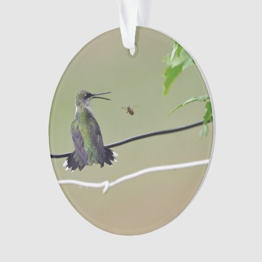 Hummingbird & Honey Bee Ornament (voorkant)