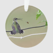 Hummingbird & Honey Bee Ornament (voorkant)