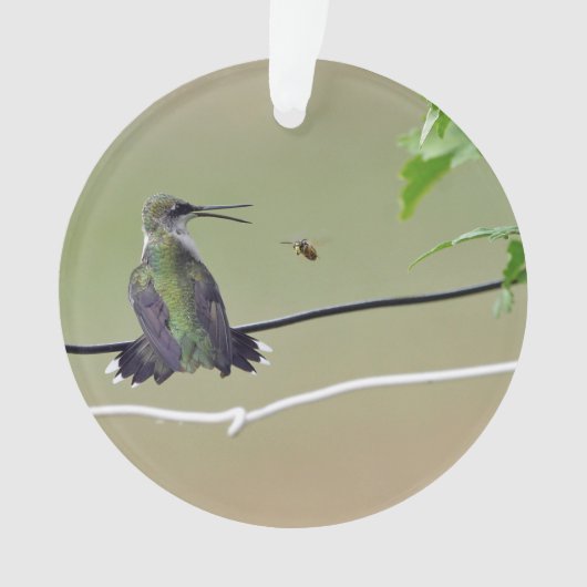 Hummingbird & Honey Bee Ornament (voorkant)
