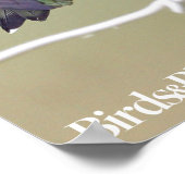 Hummingbird & Honey Bee Poster (Hoek)