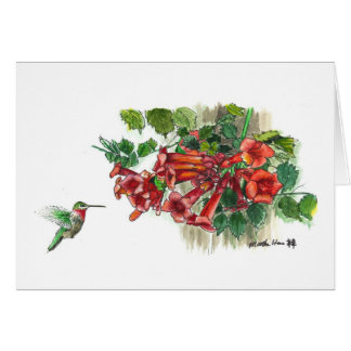 Hummingbird honeysucrose