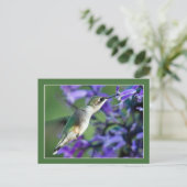 Hummingbird Hover Briefkaart (Staand voorkant)