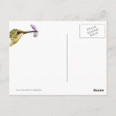 Hummingbird Hover Briefkaart (Achterkant)