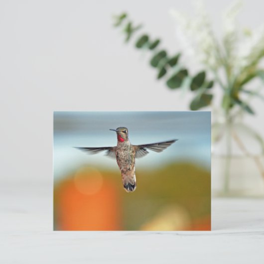 Hummingbird hovering briefkaart (Staand voorkant)