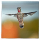 Hummingbird hovering tegeltje (Voorkant)