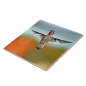 Hummingbird hovering tegeltje (Zijkant)