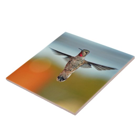 Hummingbird hovering tegeltje (Zijkant)