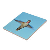 Hummingbird hovering tegeltje (Zijkant)
