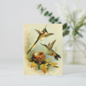 Hummingbird Illustratie Briefkaart (Staand voorkant)
