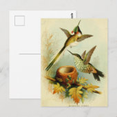 Hummingbird Illustratie Briefkaart (Voorkant / Achterkant)