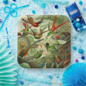 Hummingbird Illustratie door Ernst Haeckel Papieren Bordje (Feest)