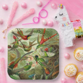 Hummingbird Illustratie door Ernst Haeckel Papieren Bordje (Feest)