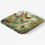 Hummingbird Illustratie door Ernst Haeckel Papieren Bordje (Gebogen)