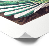  Hummingbird Illustratie Poster (Hoek)