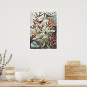  Hummingbird Illustratie Poster (Keuken)