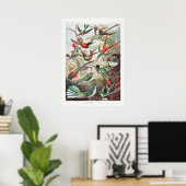  Hummingbird Illustratie Poster (Thuiskantoor)