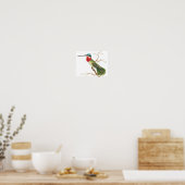  Hummingbird Illustratie Poster (Keuken)
