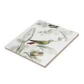  Hummingbird Illustration - 1800's Birds Tegeltje (Zijkant)