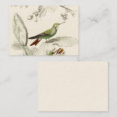  Hummingbird Illustration - 1800's Birds Visitekaartje (Voorkant / Achterkant)