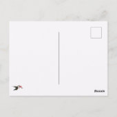 Hummingbird in de luchtkussentel briefkaart (Achterkant)