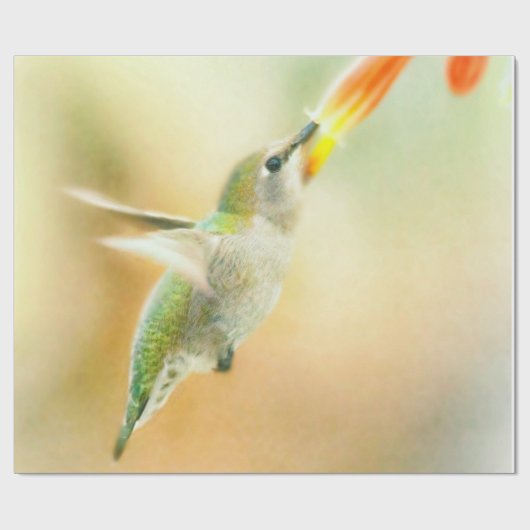 Hummingbird in Early Morning light Cadeaupapier (Vlak)